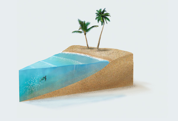 … and two palm trees in a gift